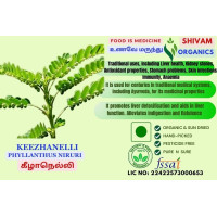 Keezhanelli | Phyllanthus Niruri | Stone Breaker | DRY PLANT | 100gm